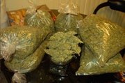 Buy Super Quality O g kush, White Widows and othe related meds for sale