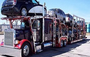 Texas Free Auto Transportation Quote Form
