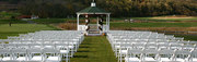 Get Wedding Chairs at Wholesale Factory Prices at Larry Hoffman Chair