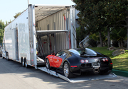 Enclosed auto transport shipping services provider at FREEPORT,  TX