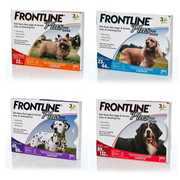 Frontline Plus for Dogs - Flea and Tick Treatment | PetCareSupplies