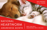 Buy Heartworm Treatment for Dogs - BudgetPetCare