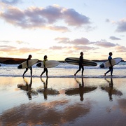 Choose the Best Surf Lessons in Venice Beach