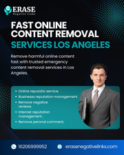 Los Angeles Digital Content Removal Specialists