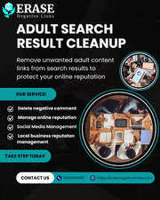 Online Reputation Specialist for Adult Content Issues